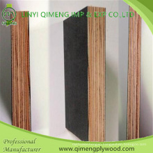 12mm 15mm 18mm Hardwood Core Concrete Plywood with Phenolic Glue